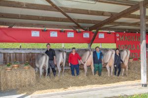 80 ADORA CH 120.1129.1406.3 Hcki Josef IMGL5116